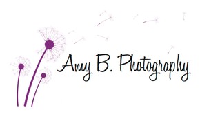 Amy B Photography